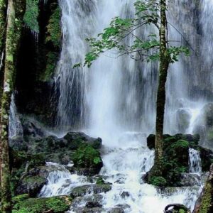 RESERVA DE LA BIOSFERA DEL CIELO DESDE CIUDAD VICTORIA