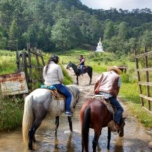 CABALGATA EN VALLE DE BRAVO "CONQUISTA SALVAJE"