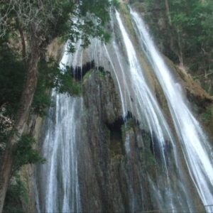 RECORRIDO A CABALLO AL BOSQUE MESÓFILO DESDE