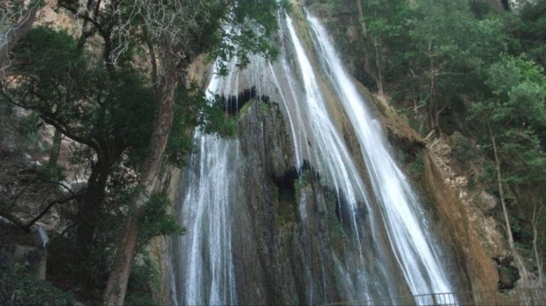 RECORRIDO A CABALLO AL BOSQUE MESÓFILO DESDE