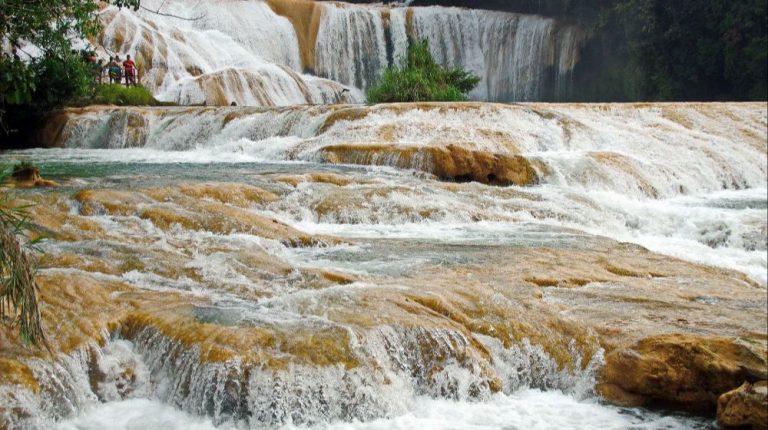 PALENQUE AL MÁXIMO “CHIAPAS”