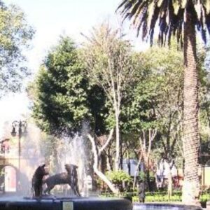 COYOACÁN, MUSEO FRIDA KAHLO Y XOCHIMILCO