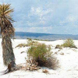 CUATRO CIENEGAS "PUEBLO MÁGICO" (DESDE MONTERREY, SALTILLO O TORREON)