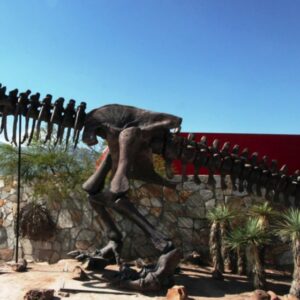VALLE DE LOS DINOSAURIOS DESDE PARRAS