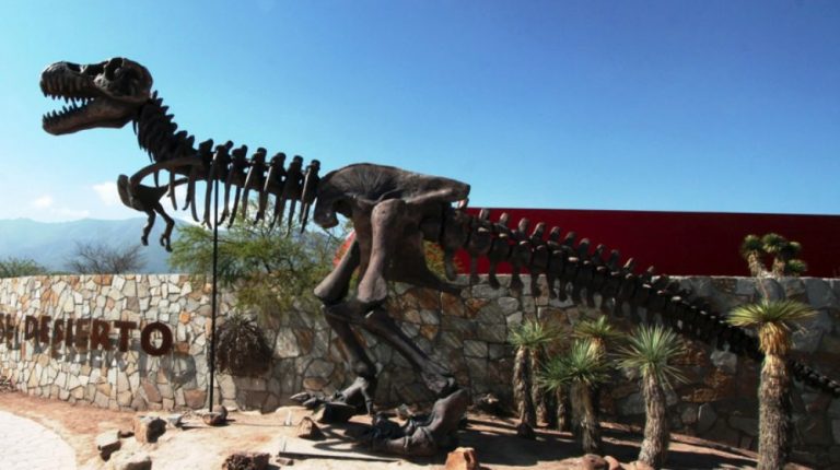 VALLE DE LOS DINOSAURIOS DESDE PARRAS