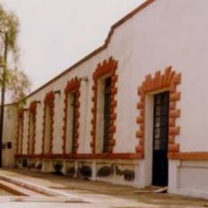 RECORRIDO DE LOS REMEDIOS, YERBAS Y QUELITES EN XICO