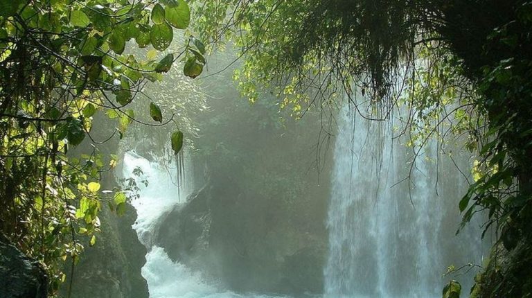HUASTECA POTOSINA EXPRESS