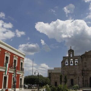 REGIÓN CITRÍCOLA "LINARES-HUALAHUISES-MONTEMORELOS"