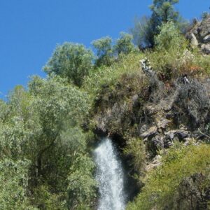 RESERVA DE LA BIÓSFERA DE METZTITLÁN