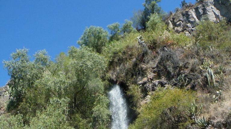 RESERVA DE LA BIÓSFERA DE METZTITLÁN