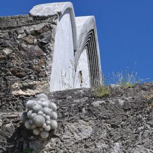 RESERVA DE LA BIÓSFERA DE METZTITLÁN DESDE PACHUCA