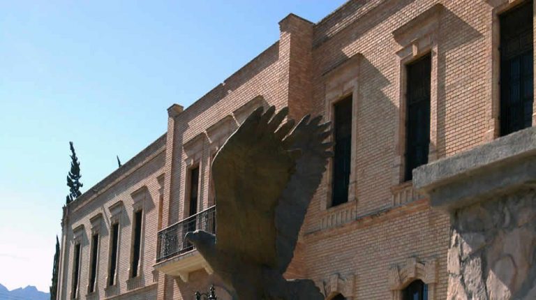 MUSEO DE LAS AVES Y CATEDRAL DE SANTIAGO DESDE SALTILLO