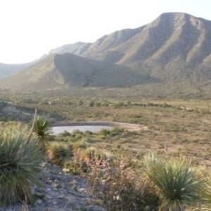 PORVENIR DE JALPA Y VALLE DE NARIHUA DESDE PARRAS