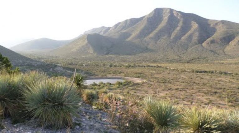 PORVENIR DE JALPA Y VALLE DE NARIHUA DESDE PARRAS