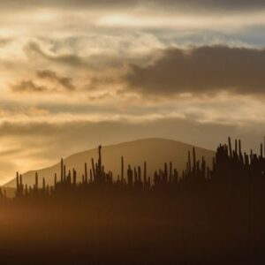DESIERTO DE OZTOQUITO