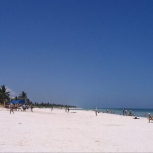 RESERVA DE LA BIÓSFERA DE LA RÍA CELESTÚN DESDE MÉRIDA