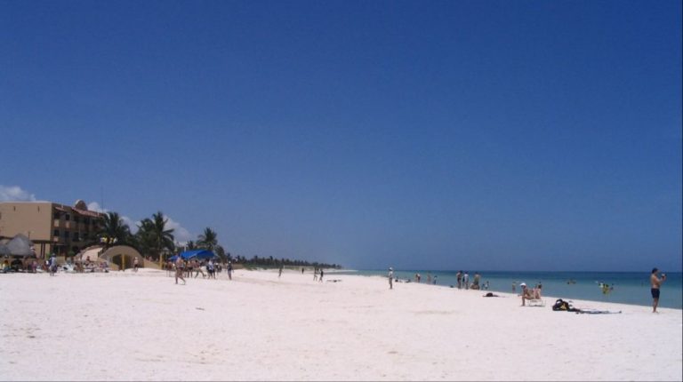 RESERVA DE LA BIÓSFERA DE LA RÍA CELESTÚN DESDE MÉRIDA