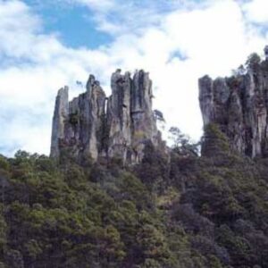 QUEBRADA DE BASIS