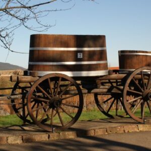 TEQUILA Y GASTRONOMÍA DESDE JALPA DE CANOVAS