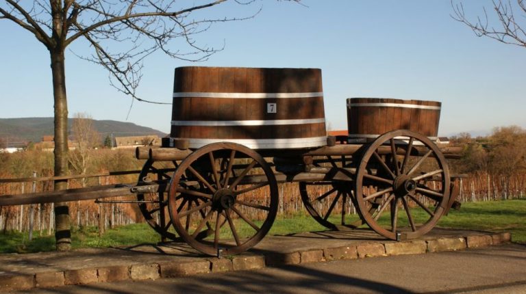 TEQUILA Y GASTRONOMÍA DESDE JALPA DE CANOVAS