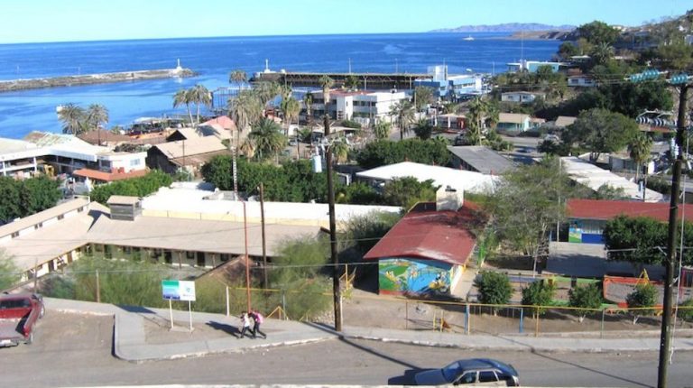SONORENSES Y SUDCALIFORNIANOS “AVISTAMIENTO DE BALLENAS”