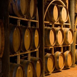 VINÍCOLA TOYAN Y BODEGA DOS BÚHOS DESDE SAN MIGUEL DE ALLENDE