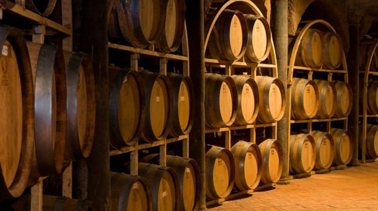 VINÍCOLA TOYAN Y BODEGA DOS BÚHOS DESDE SAN MIGUEL DE ALLENDE