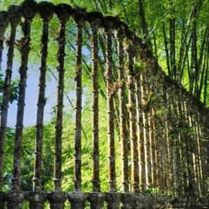 ZONA ARQUEOLÓGICA DE TAMTOC DESDE XILITLA