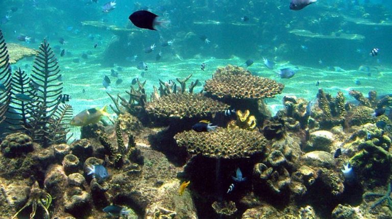 ZOOLÓGICO  Y ACUARIO EN GUADALAJARA