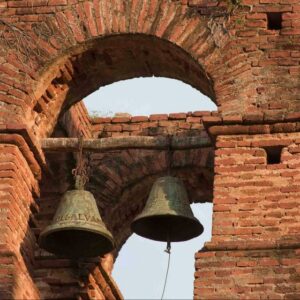 OBSERVACIÓN DE AVES DESDE ÁLAMOS