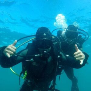 BUCEO EN VERACRUZ