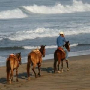 PASEO A CABALLO DESDE CIUDAD VALLES