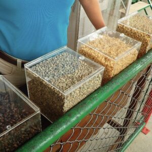 RECORRIDO DEL CAFÉ Y LICORES EN XICO