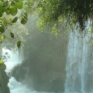 TAMASOPO Y PUENTE DE DIOS DESDE CIUDAD VALLES