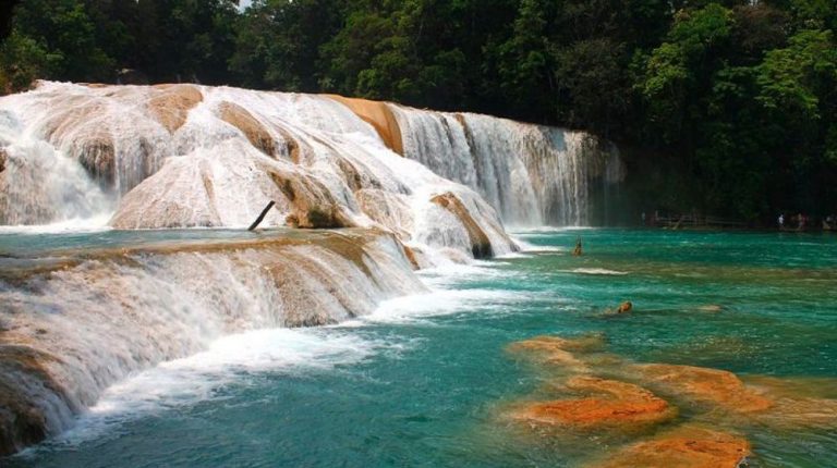 CHIAPAS TÍPICO
