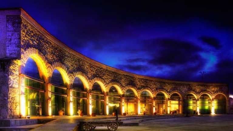 CHIHUAHUA DE NOCHE