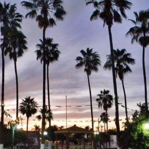 ETCHOJOA, HUATABAMPO Y ESTEROS DESDE NAVOJOA