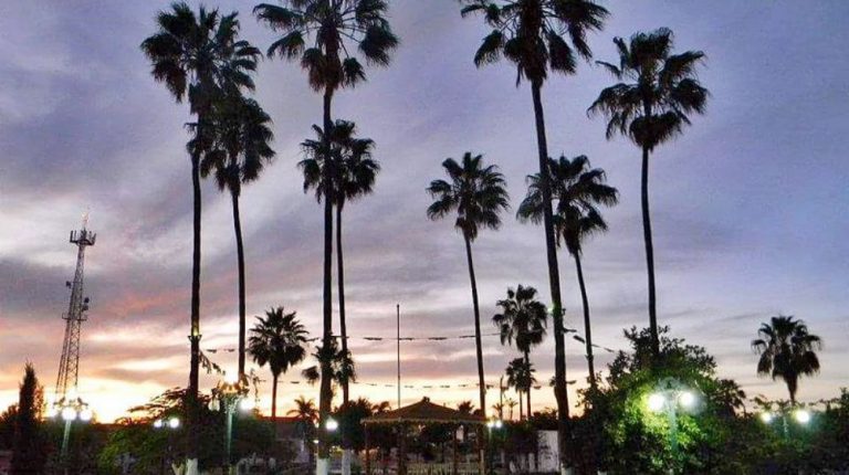 ETCHOJOA, HUATABAMPO Y ESTEROS DESDE NAVOJOA
