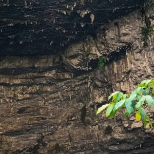 SÓTANO DE LAS GUA GUAS Y CUEVAS DE MANTETZULEL DESDE XILITLA