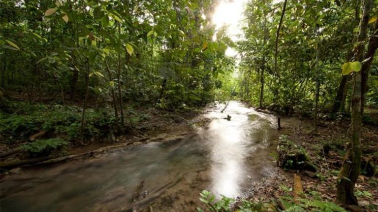 AVENTURA LACANDONA DESDE PALENQUE