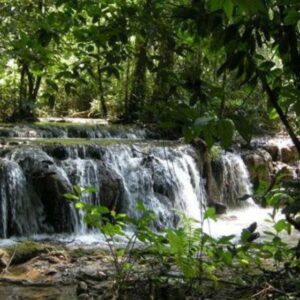 GUATEMALA IDEAL