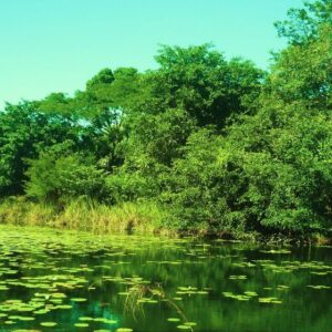 PASEO NÁUTICO LOS PETENES DESDE CAMPECHE