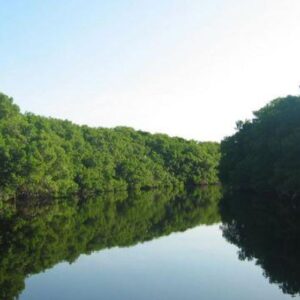 BIÓSFERA DE LOS PETÉNES DESDE CAMPECHE