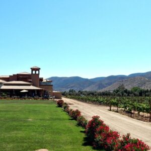 RUTA DEL VINO EN VALLE DE GUADALUPE CON TIJUANA