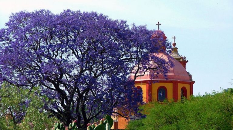 SAN SEBASTIAN BERNAL