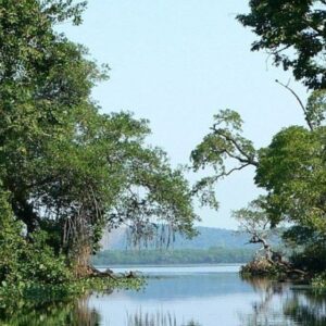 SONTECOMAPAN DESDE CATEMACO