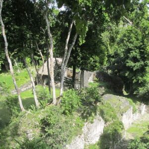 APICULTOR Y TEMAZCAL “TLAXCALA”