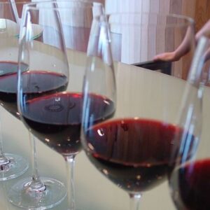 QUESO Y VINO CON PUEBLO MÁGICO “SAN SEBASTIAN BERNAL”