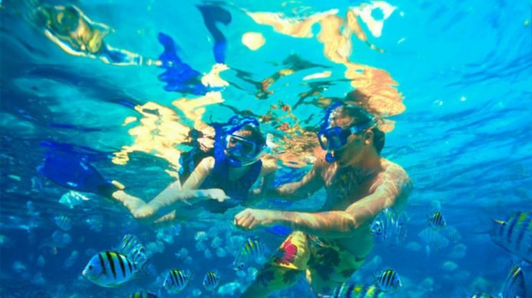 ZONA ARQUEOLÓGICA DE TULUM CON XELHA DESDE CANCÚN O RIVIERA MAYA