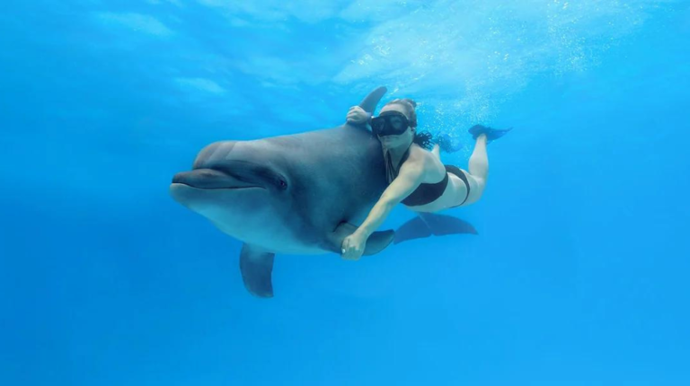 ENCUENTRO CON DELFINES
